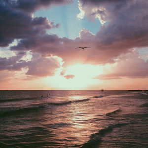 Meet your Posher, Dakota